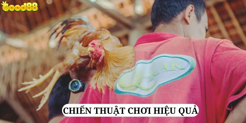 dung-bo-quen-cac-chien-thuat-hieu-qua